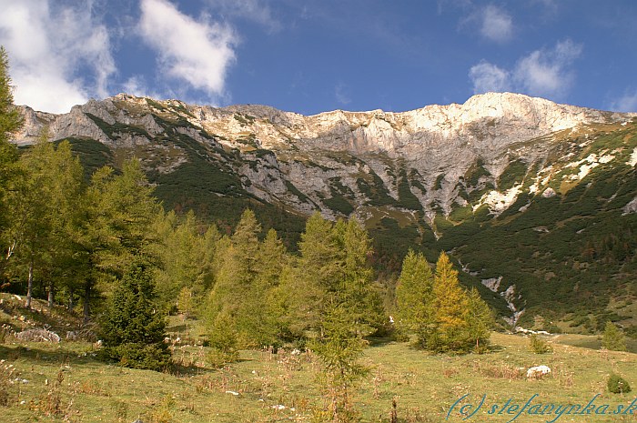 Siebenbrunn Graben - steny Predigtstuhlu