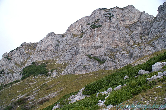 Reisstalersteig je vpravo. To vľavo je určite ďalší steig