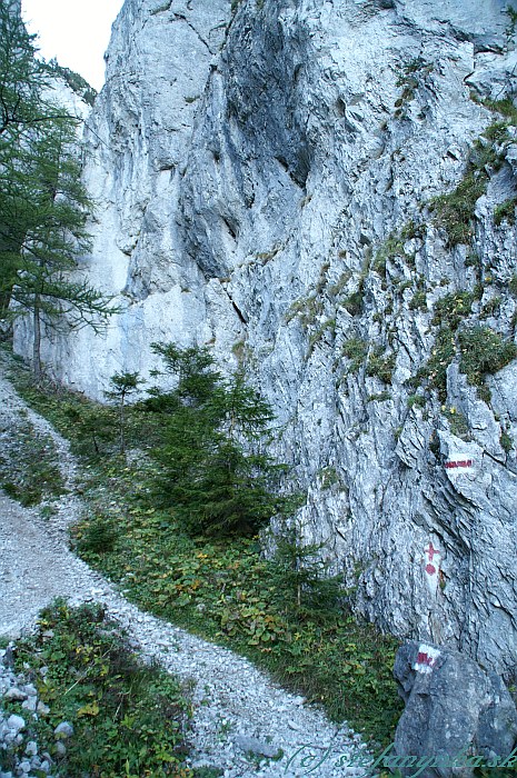 Nad Rehbodenom. Od odbočky Rehboden (doľava Kaisersteig, doprava feraty Barenlochsteig a Wildfahrte) viedlo strmé stúpanie, miestami suťou