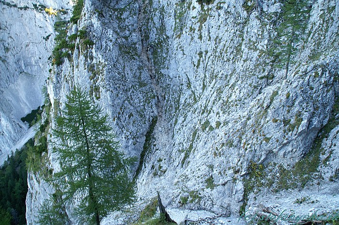 Barenlochsteig. Pohľad vľavo dolu na lesík, ktorým sme sa dostali k nástupu. Barenlochsteig pokračovala dolu k stromu, ale ešte pred stromom doprava hore