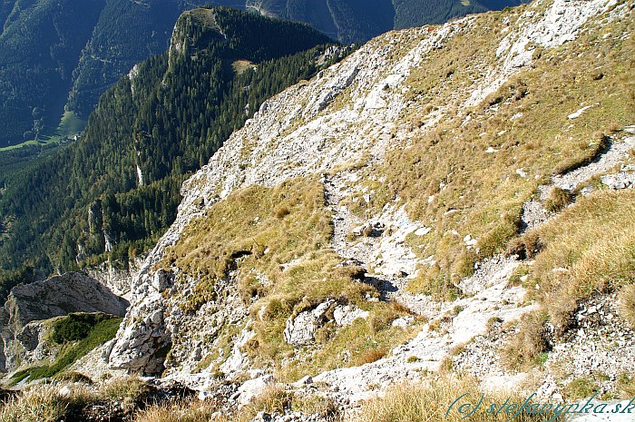 Gamsecksteig - vrch. Prvá časť feraty viedla na to skalnaté pole, tam prudko doľava dolu a serpentínami až takmer do ľavého dolného rohu obrázka. (Takmer v pokračovaní chodníka vidno aj malú lúčku pod kopcom - sedlo Gupf sattel)