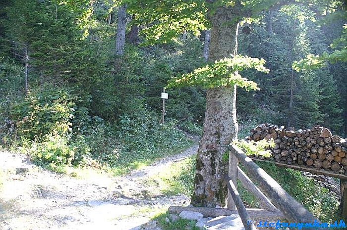 Kleinthaler hutte a Turmstein