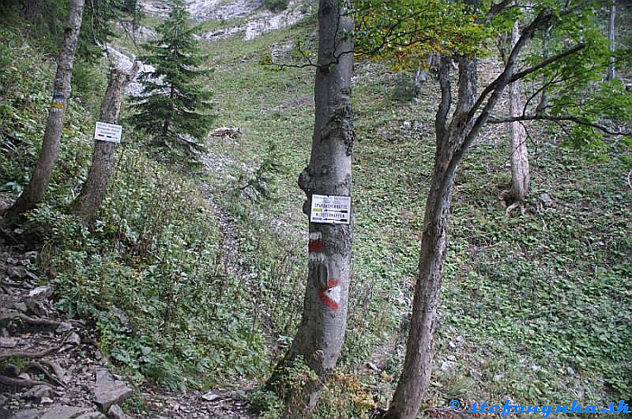 Odbočka od Kleinthaler hutte na Schneeberg