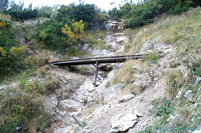 Nad Goasstallom. Lávka cez potok istená oceľovým lanom a železný rebrík potešia srdce každého feratistu. Bohužiaľ, dnes jediné chabé náznaky zaistenej cesty 