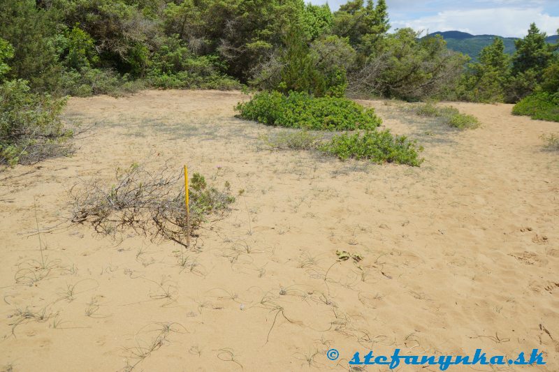 Corfu trail od mora k jazeru Korission bol takto vyznačený