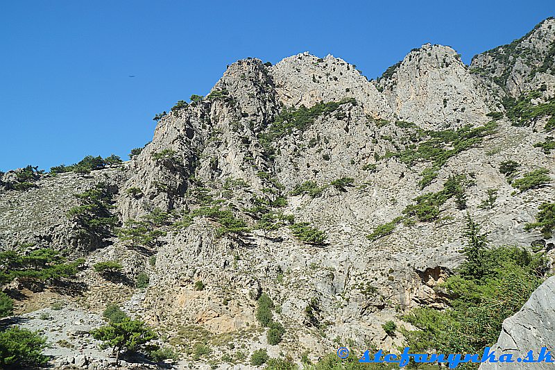 Rouvas gorge. Vpravo dolu je vľavo vedľa stromu trochu vidieť previs. Chodník pokračoval až k nemu, viedol popod previs doľava a oblúkom doprava sa dostával nad previs Rouvas gorge. Vpravo dolu je vľavo vedľa stromu trochu vidieť previs. Chodník pokračoval až k nemu, viedol popod previs doľava a oblúkom doprava sa dostával nad previs
