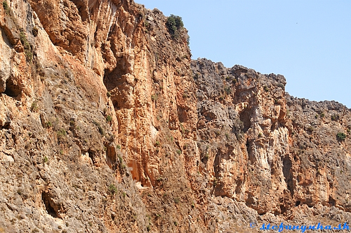 V strednej časti Deads gorge viedol chodník v pravej časti rokliny, ubudlo kríkov, sem-tam sa vyskytol nejaký strom (pohľad k moru)