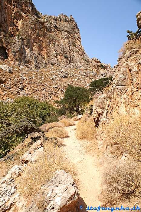 V rokline Deads gorge) bolo až po toto miesto niekoľko miest s vodou (presnejšie dve, obe suché). Voda z hornej časti bola zvedená do čiernych plastových hadíc, prípadne do potrubia zakopaného v skalách