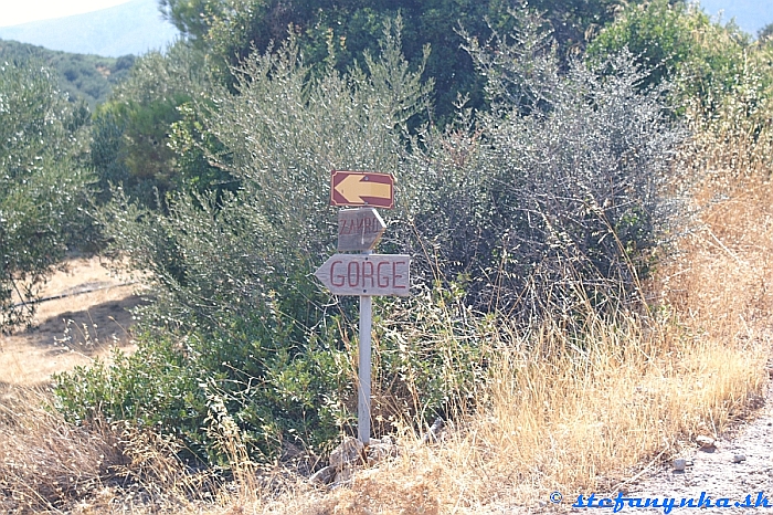 Deads Gorge - pod Zakrosom. Na ceste zo Zakrosu. Keďže som dorazil na miestnu asfaltovú cestu, otočil som sa na spiatočnú cestu. Dedina Zakros bola vzdialená ešte asi 1 km