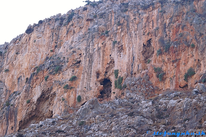 Jedinými živými obyvateľmi Deads gorge boli kozy