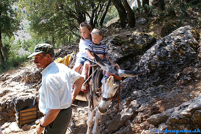 Planina Lasithi