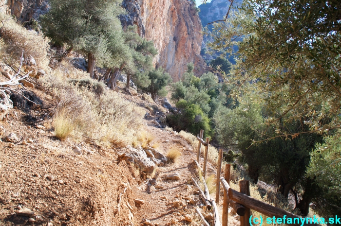 Platania gorge, Kréta, Stefanynka, Druhá časť od vyhliadky po jaskyňu