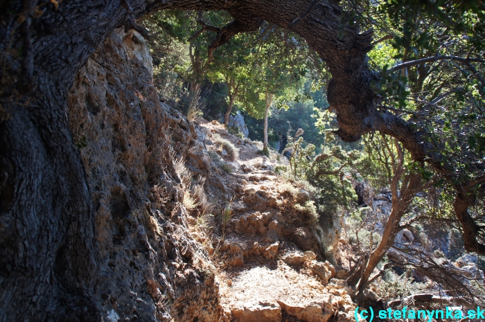 Platania gorge, Kréta, Stefanynka - Nad jaskyňou začínal vybudovaný chodník - Platanias gorge