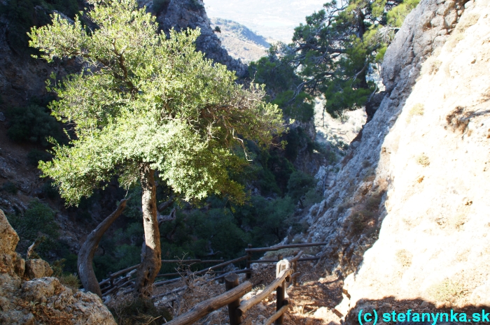 Platania gorge, Kréta, Stefanynka 