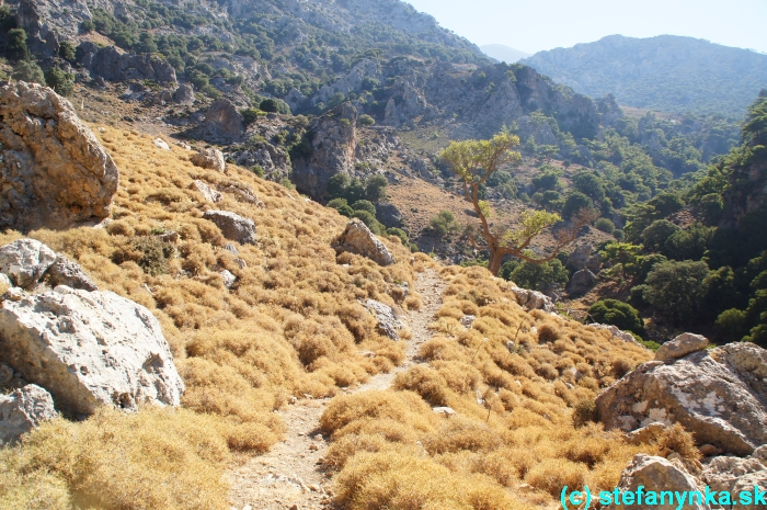 Platania gorge, Kréta, Stefanynka