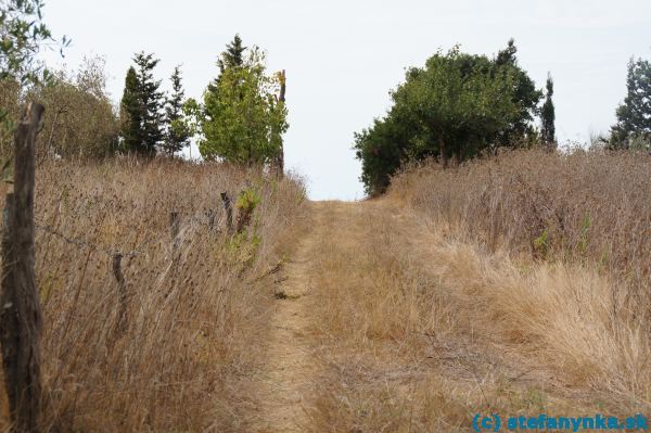 Široká cesta na horizont