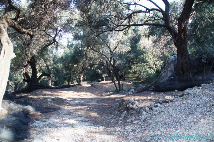 Kalderimi, Agios georgios ton Pagi, Korfu