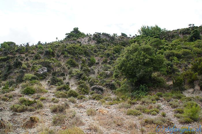 Agia Sofia, Faliraki. Niektorým z tých "kozích chodníčkov" som prišiel