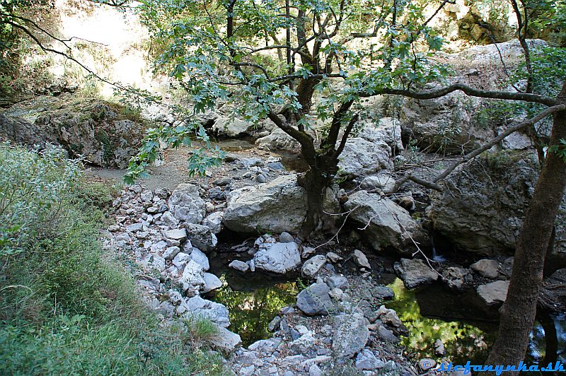 Patsos gorge (Agios Antonios), Kréta