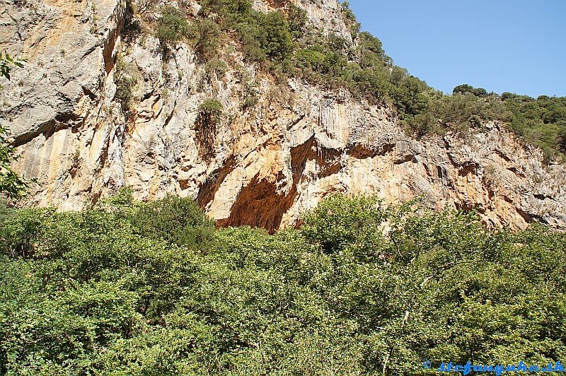 Patsos gorge (Agios Antonios), Kréta