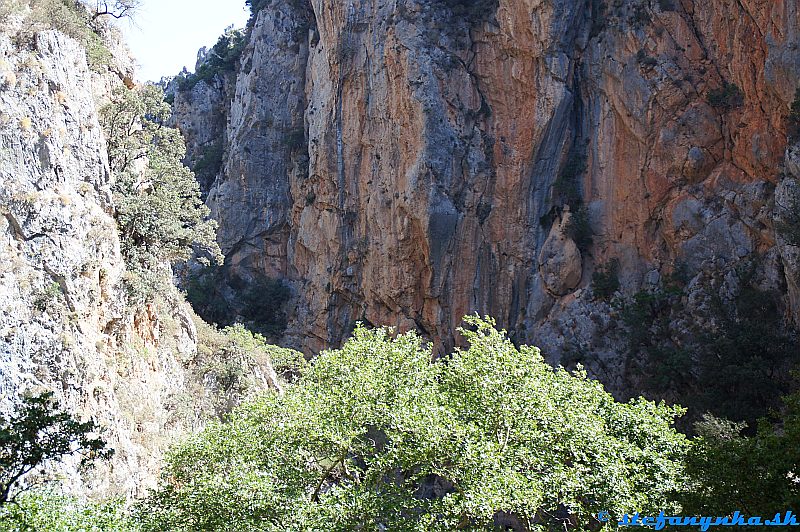 Patsos gorge (Agios Antonios), Kréta