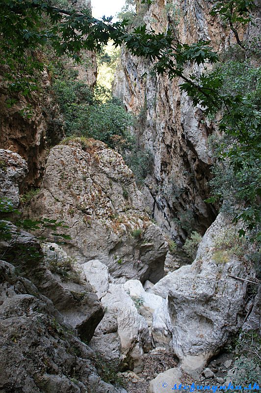 Patsos gorge (Agios Antonios), Kréta