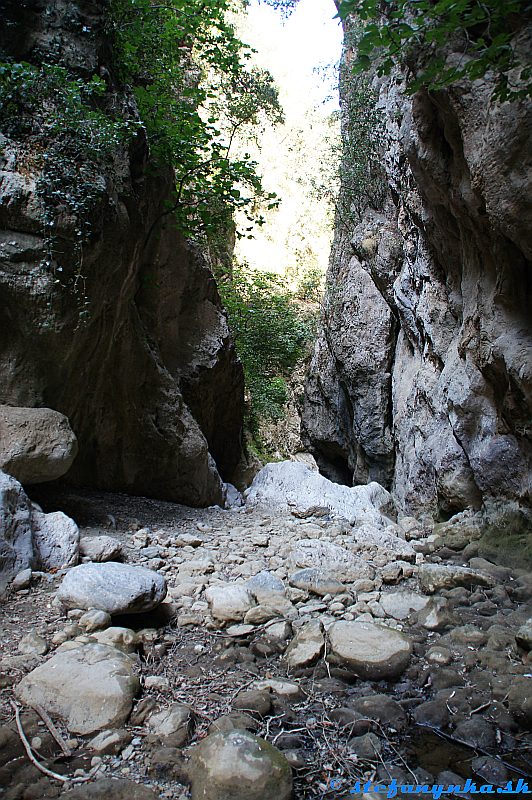 Patsos gorge (Agios Antonios), Kréta