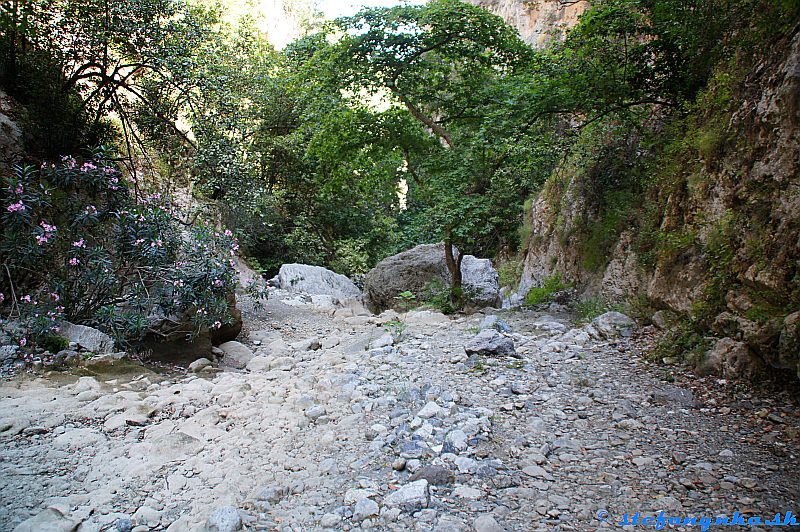 Patsos gorge (Agios Antonios), Kréta