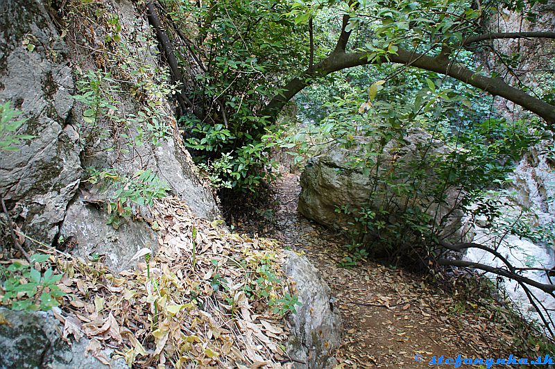 Patsos gorge (Agios Antonios), Kréta