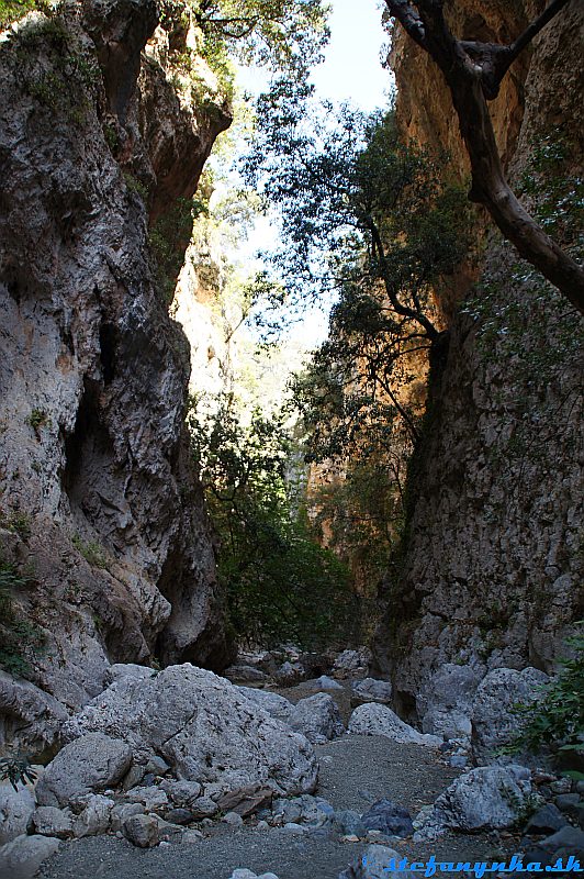 Patsos gorge (Agios Antonios), Kréta