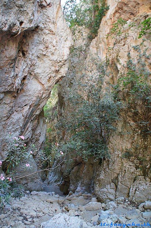 Patsos gorge (Agios Antonios), Kréta