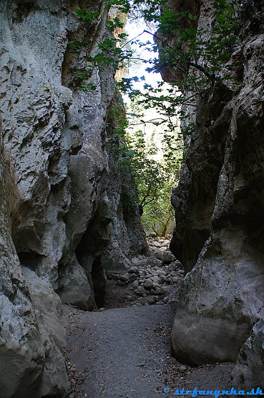 Patsos gorge (Agios Antonios), Kréta