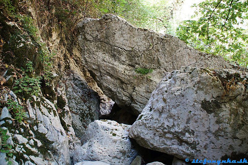 Patsos gorge (Agios Antonios), Kréta. Ďalšie skamenelé morské tvory - žeby žralok a ryba v popredí?