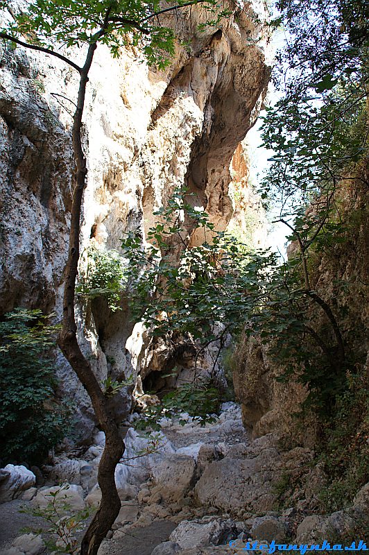 Patsos gorge (Agios Antonios), Kréta