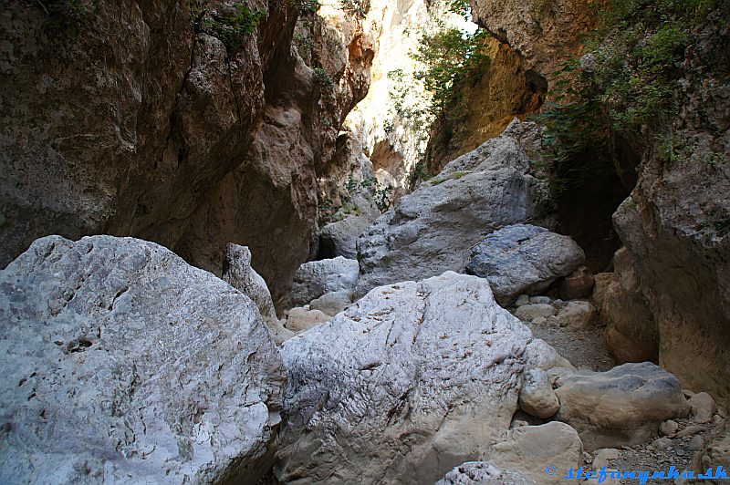 Patsos gorge (Agios Antonios), Kréta. Skalný hranostaj?