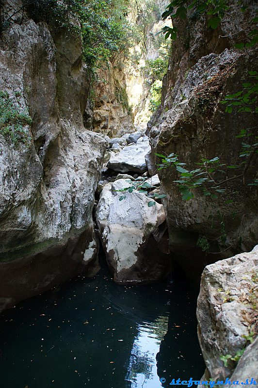 Patsos gorge (Agios Antonios), Kréta. Aligátor na spiatočnej ceste