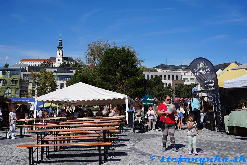 Nitra