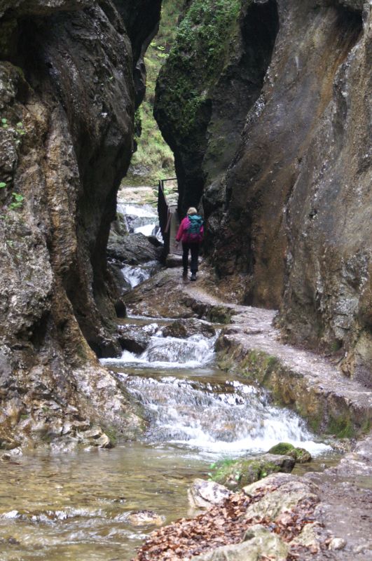 Malá Fatra, Diery