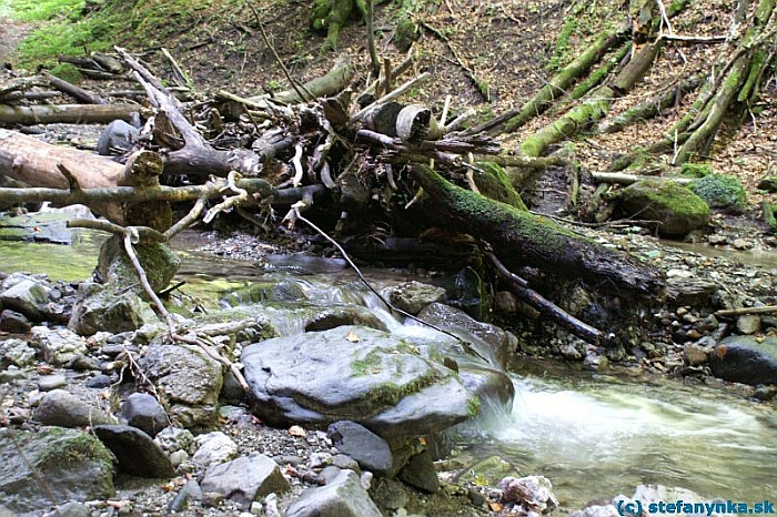 Králická tiesňava -  tie odhodené pneumatiky a barely som radšej nefotil