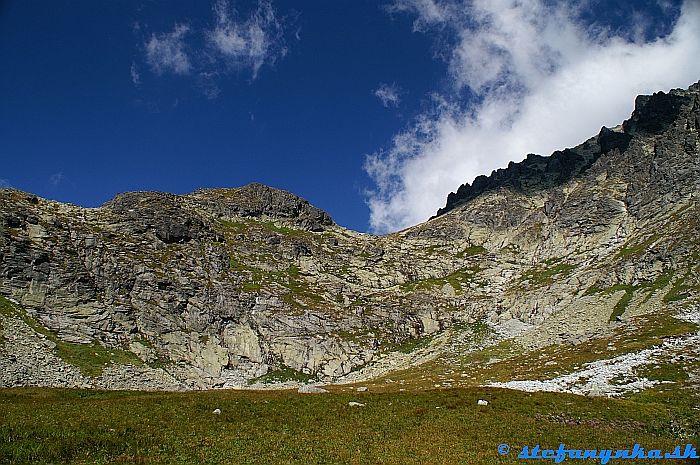 Kvetnica