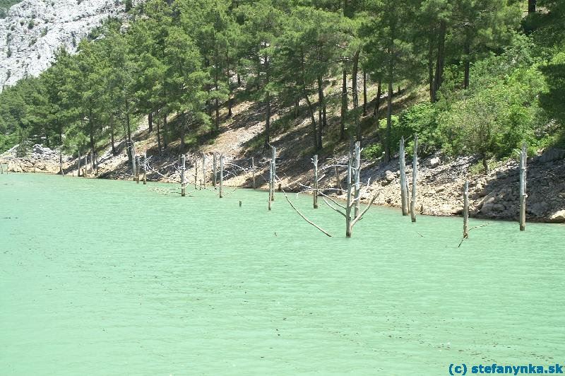 Green Canyon. Popri brehoch bolo vidno odumreté stromy v bývalom kaňone. Po zaplavení asi vyhnili a odumreli. Asi práve pre to mali lode premávajúce Green canyonom iba malé lodné motory, ktoré sú prípadne ľahko vymeniteľné (na rozdiel od lodnej vrtule)