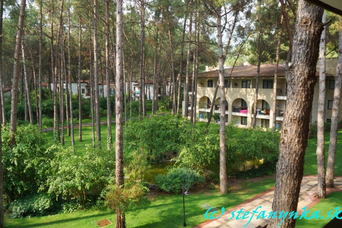 Champion Holiday Village. Baráky (hany)