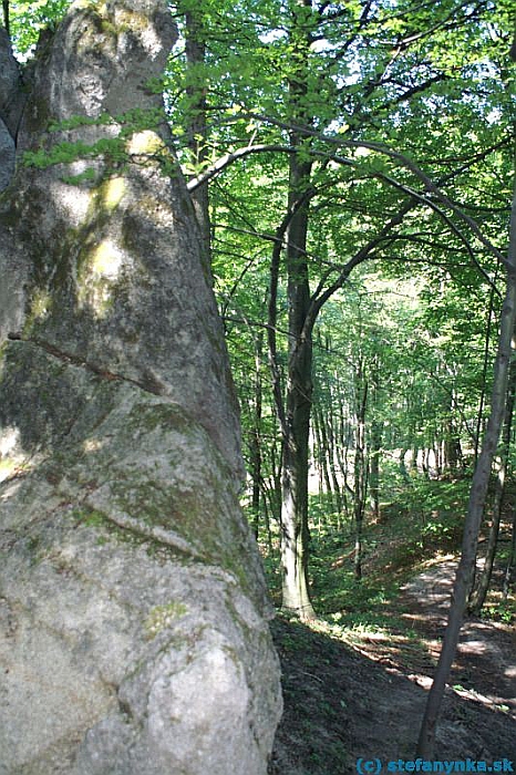 Súľov - cestou na Roháč. Medzi Čiakovom a Roháčom