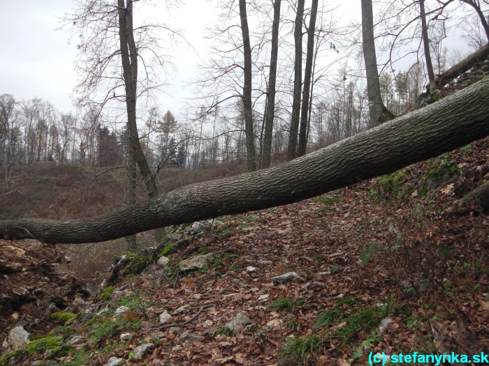 Za Krahulčími vrchmi