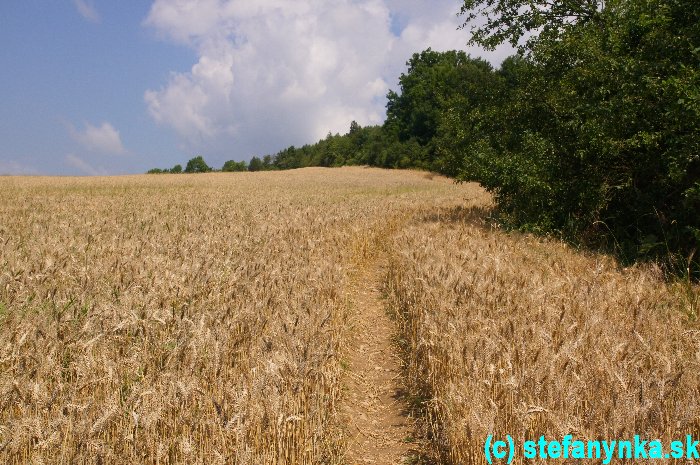 Cesta na Bradlo nad cintorínom