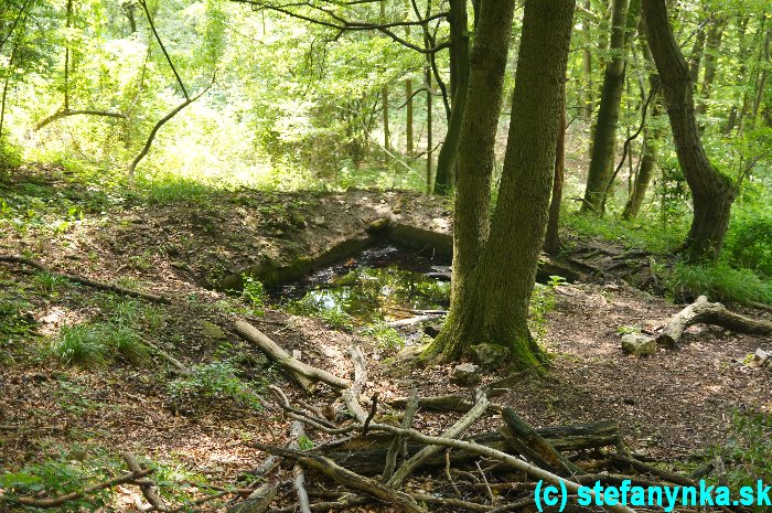 Cesta na Bradlo - vraj studnička pod vrcholom