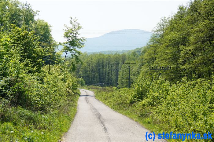 Pred ŽST Buková, pohľad na Záruby