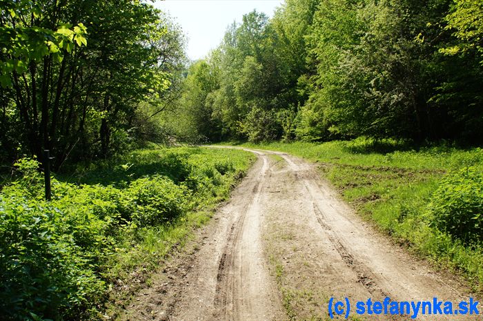 Cesta k ŽST Buková