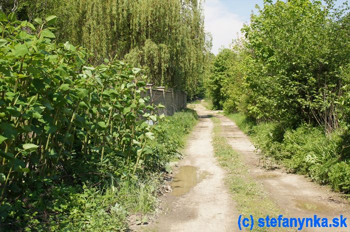 Pri horárni Dolná Raková (ŽST Buková, 3 min.) Pri horárni Dolná Raková (ŽST Buková, 3 min.)