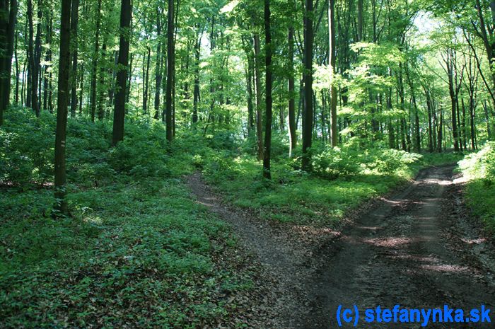 Odbočka nad oborou